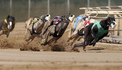The casino was known previously as Tri-State Racetrack and Gaming Center before the addition of table games, and Tri-State Casino and Resort until the name was changed to reflect its Mardi Gras theme in July 2010. . Tri state live greyhound racing